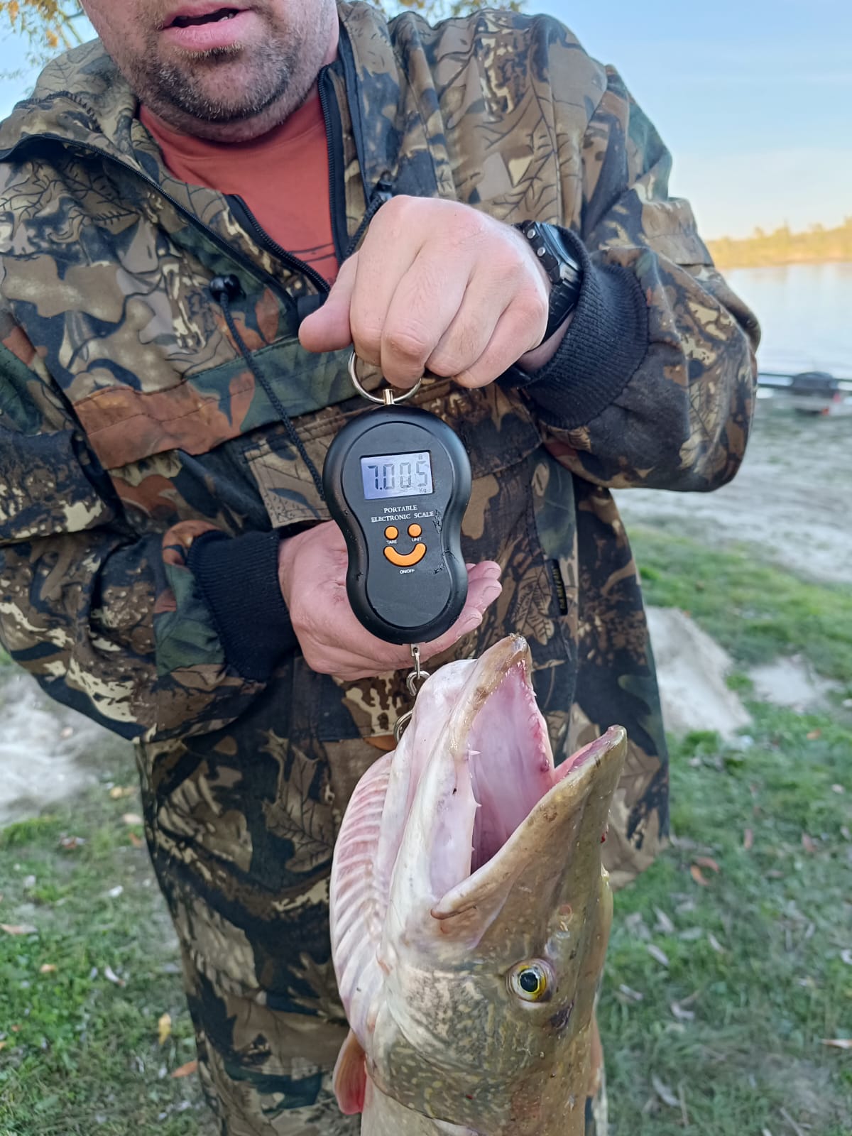 Фото Домик на дереве