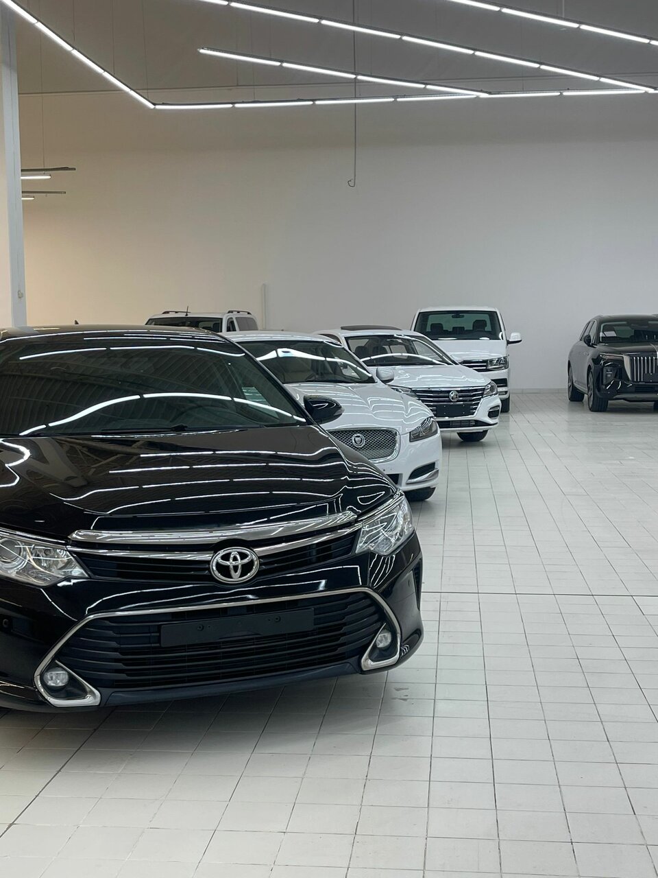 photo Авто Арена