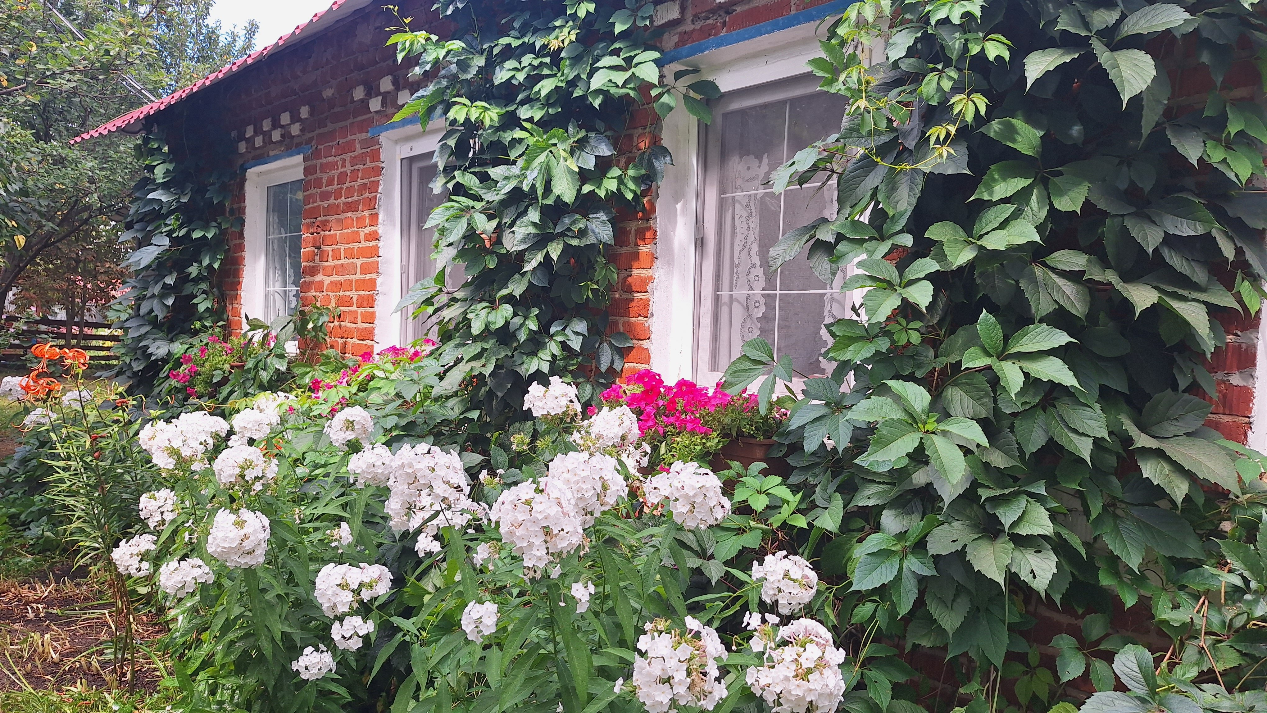 Фото Теплый хутор