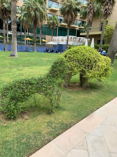 Гостиница Rixos The Palm Hotel & Suites в Дубае