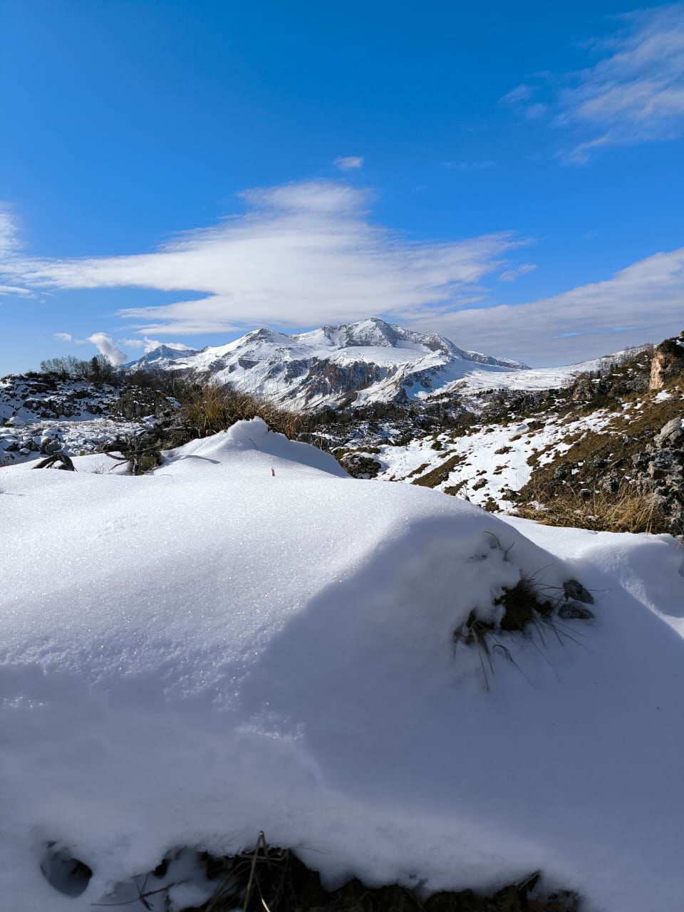 Фото Шале Дрозды
