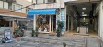 Sardunya Cicekcilik (İstanbul, Bakirkoy District, Zeytinlik Mah., Türkçü Sok., 13A), flower shop
