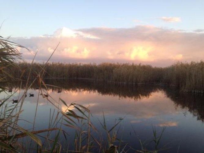 Фото Марисоль