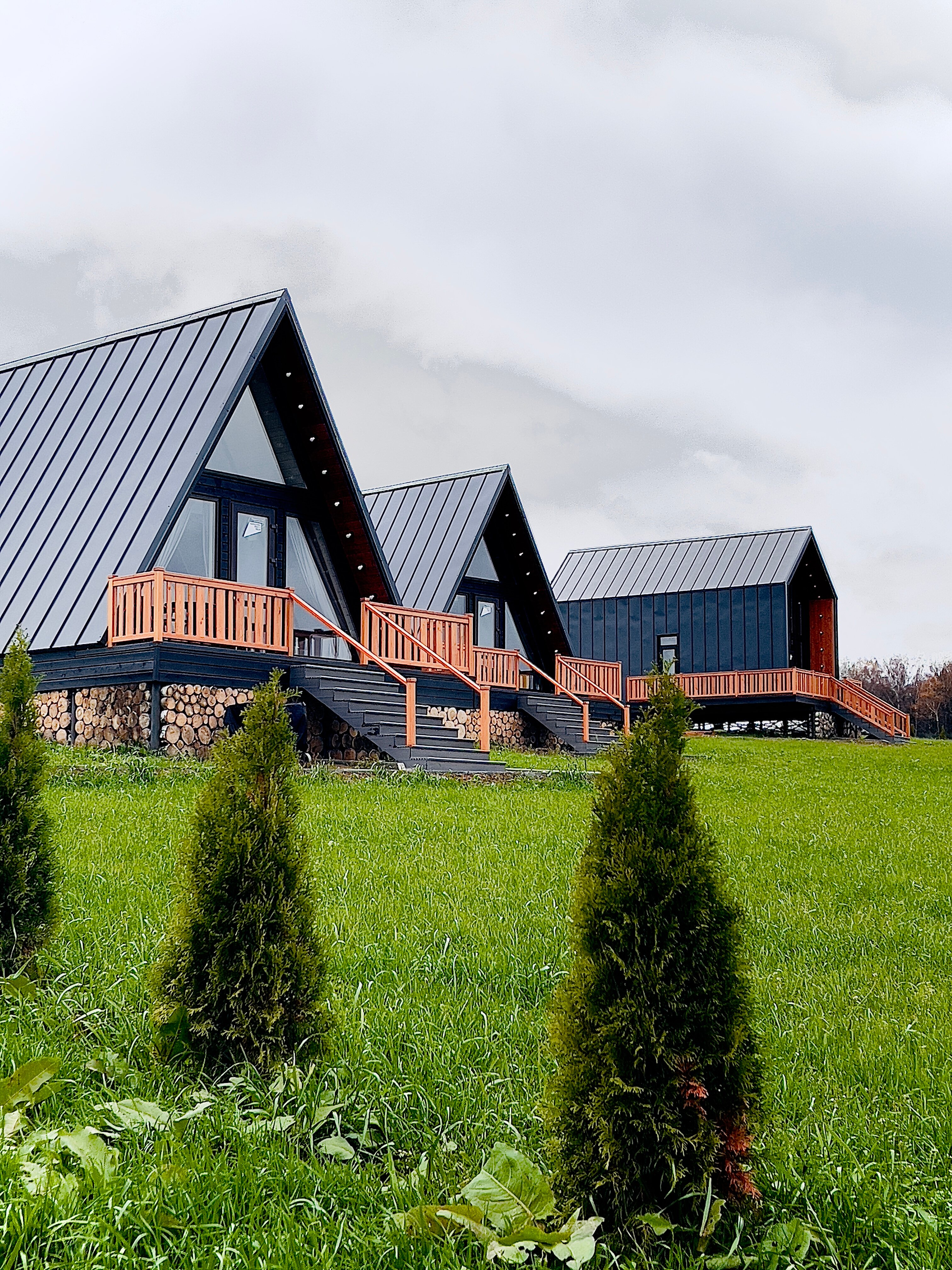 Фото Вондига парк