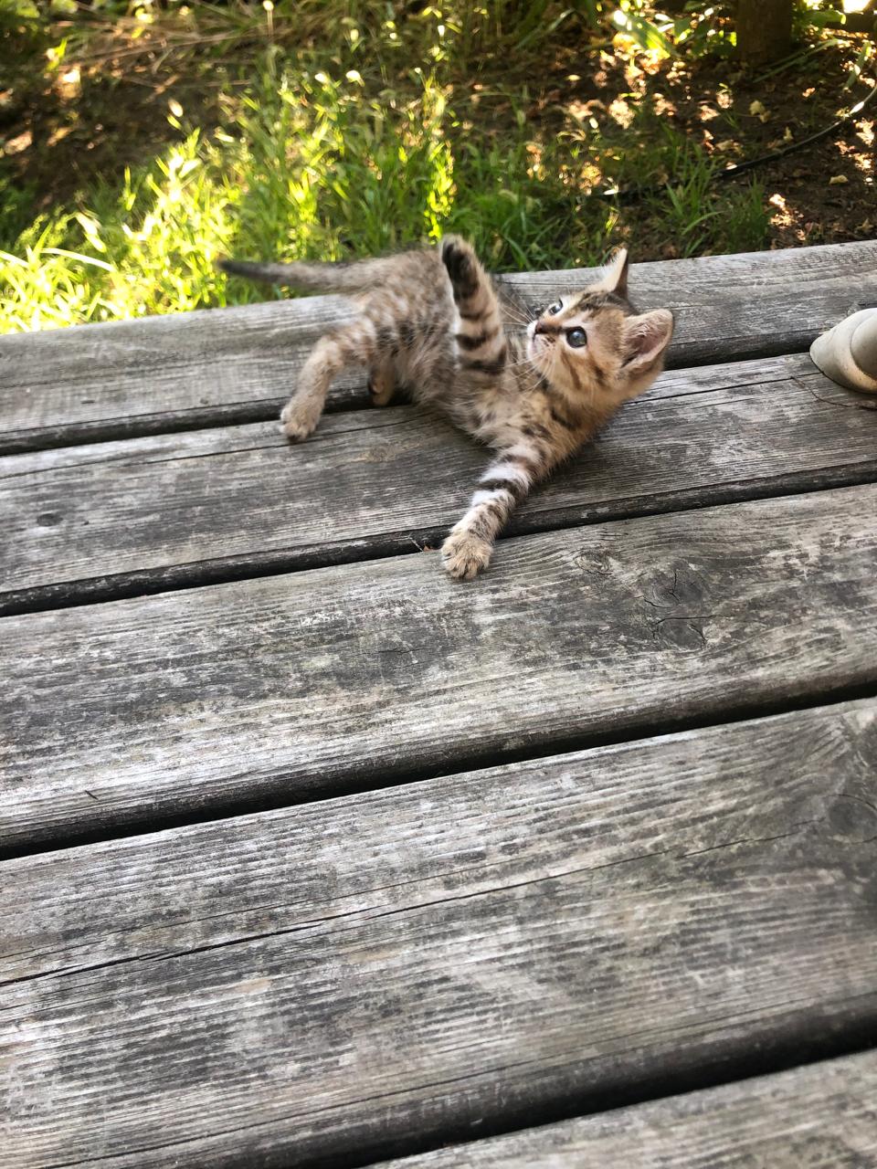 Фото Берег солнца