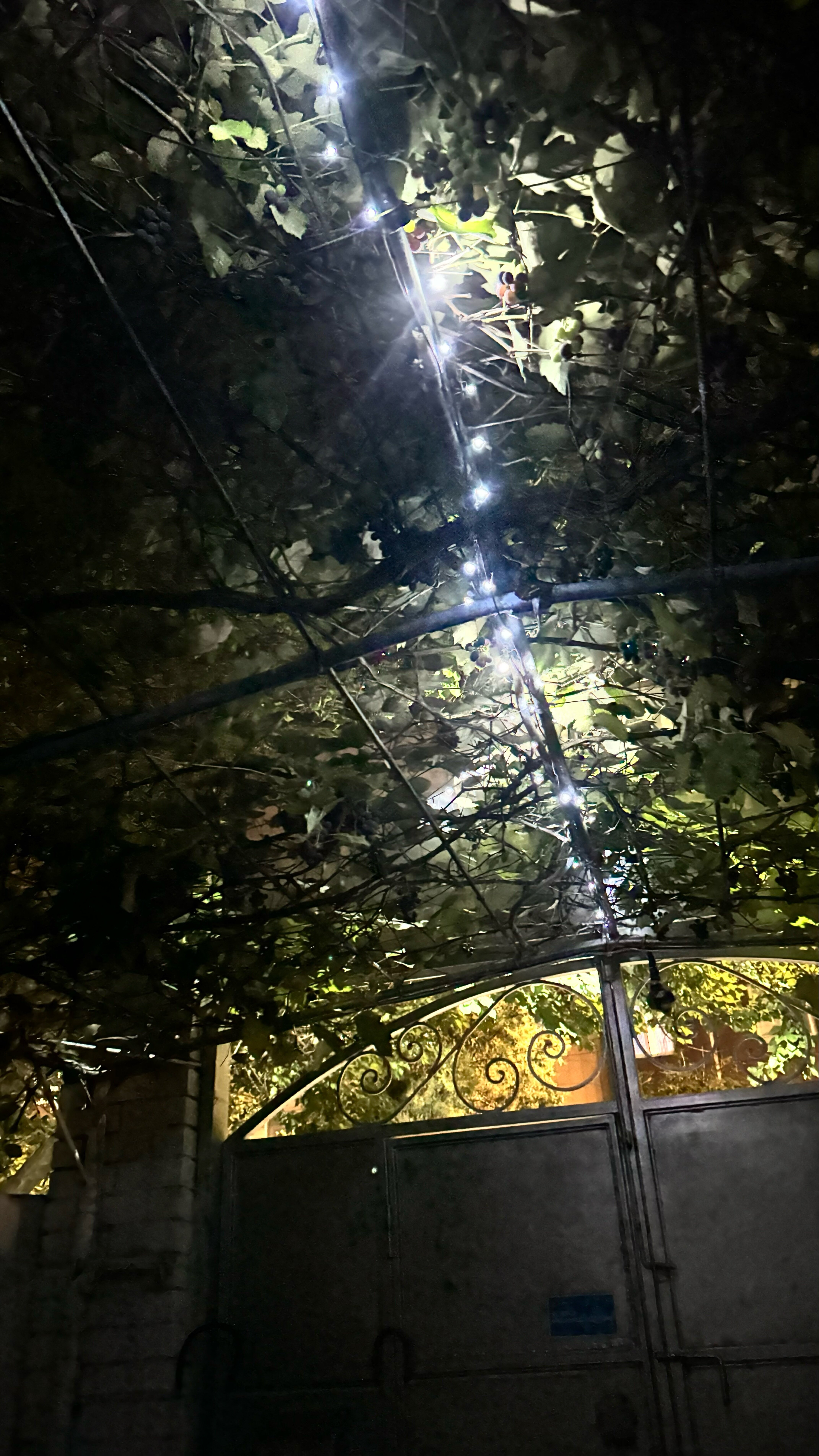 Фото Друзья