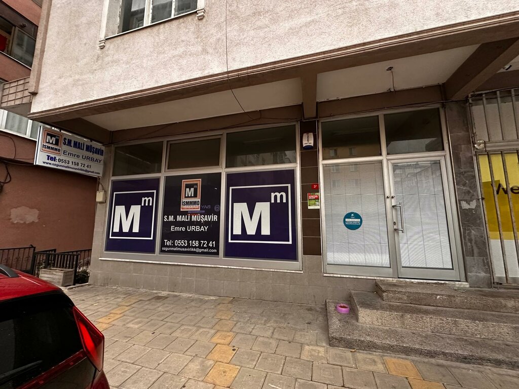 Tax consultants S. M. Financial Advisor Emre Urbay, Istanbul, photo