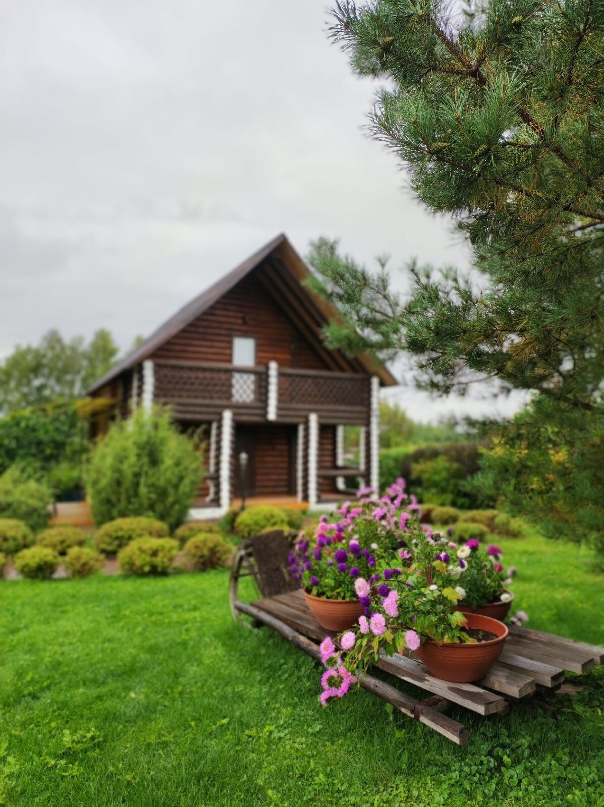 Фото Берендей