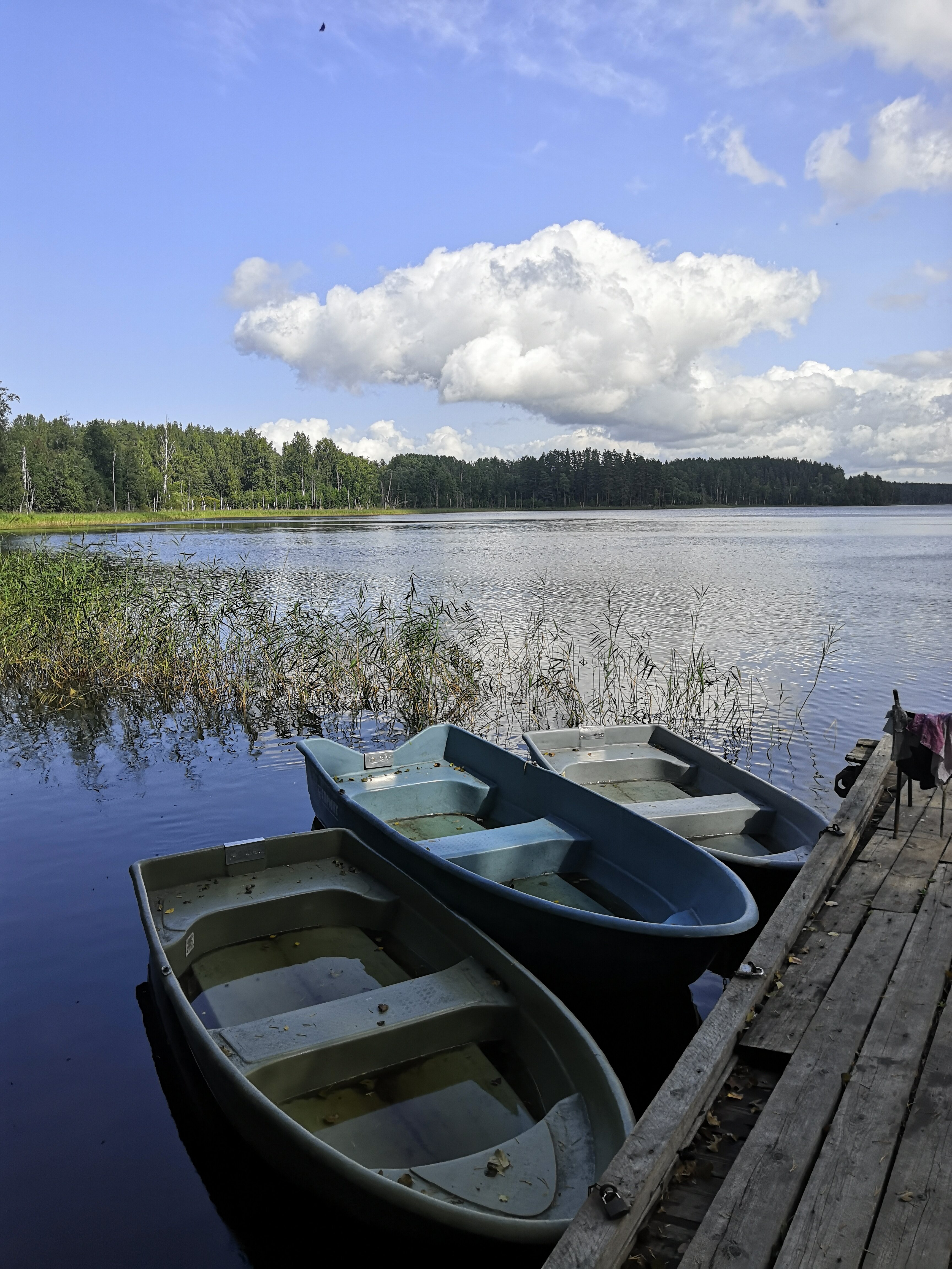 Фото Заветное