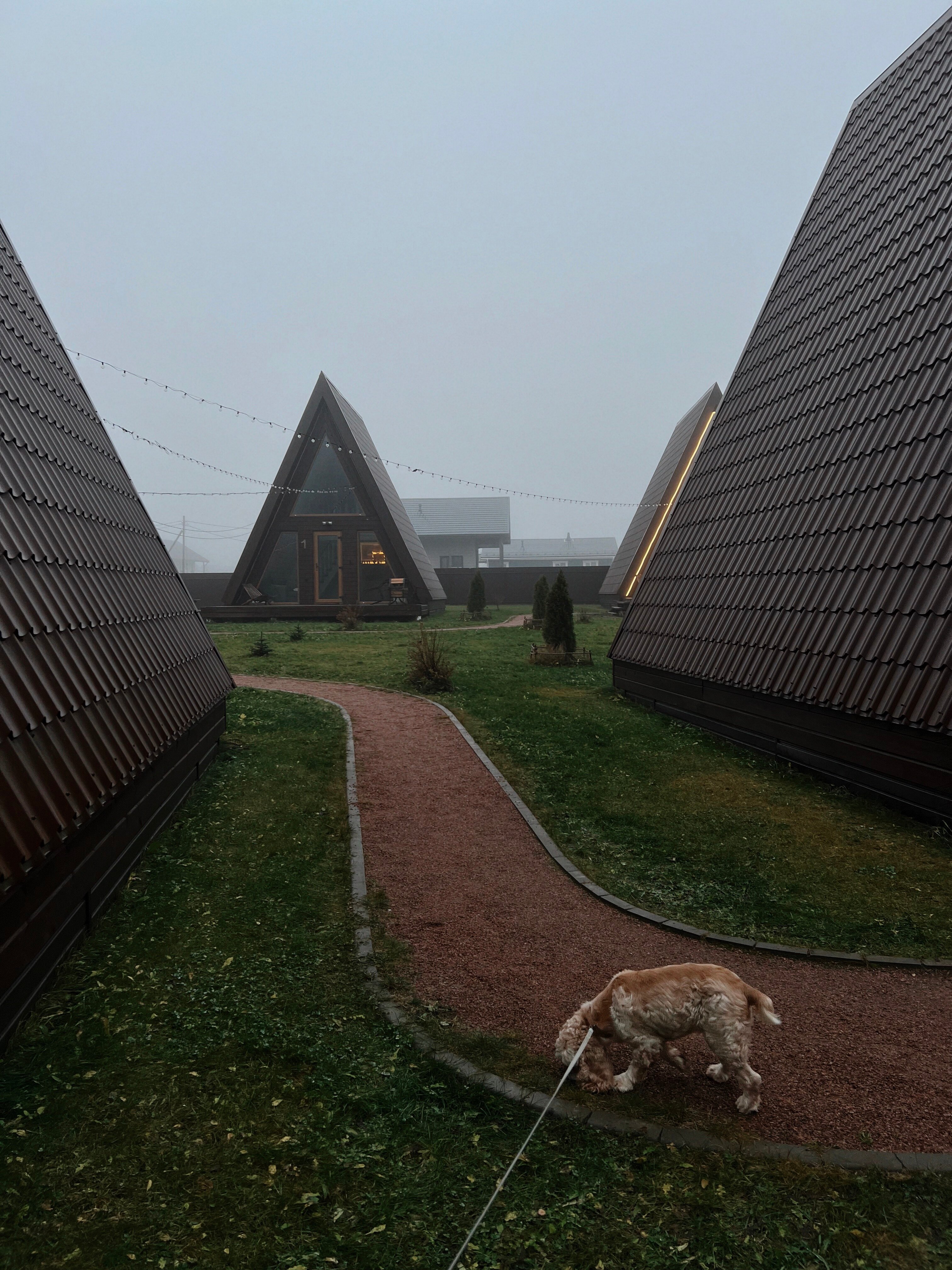 Фото Место Силы