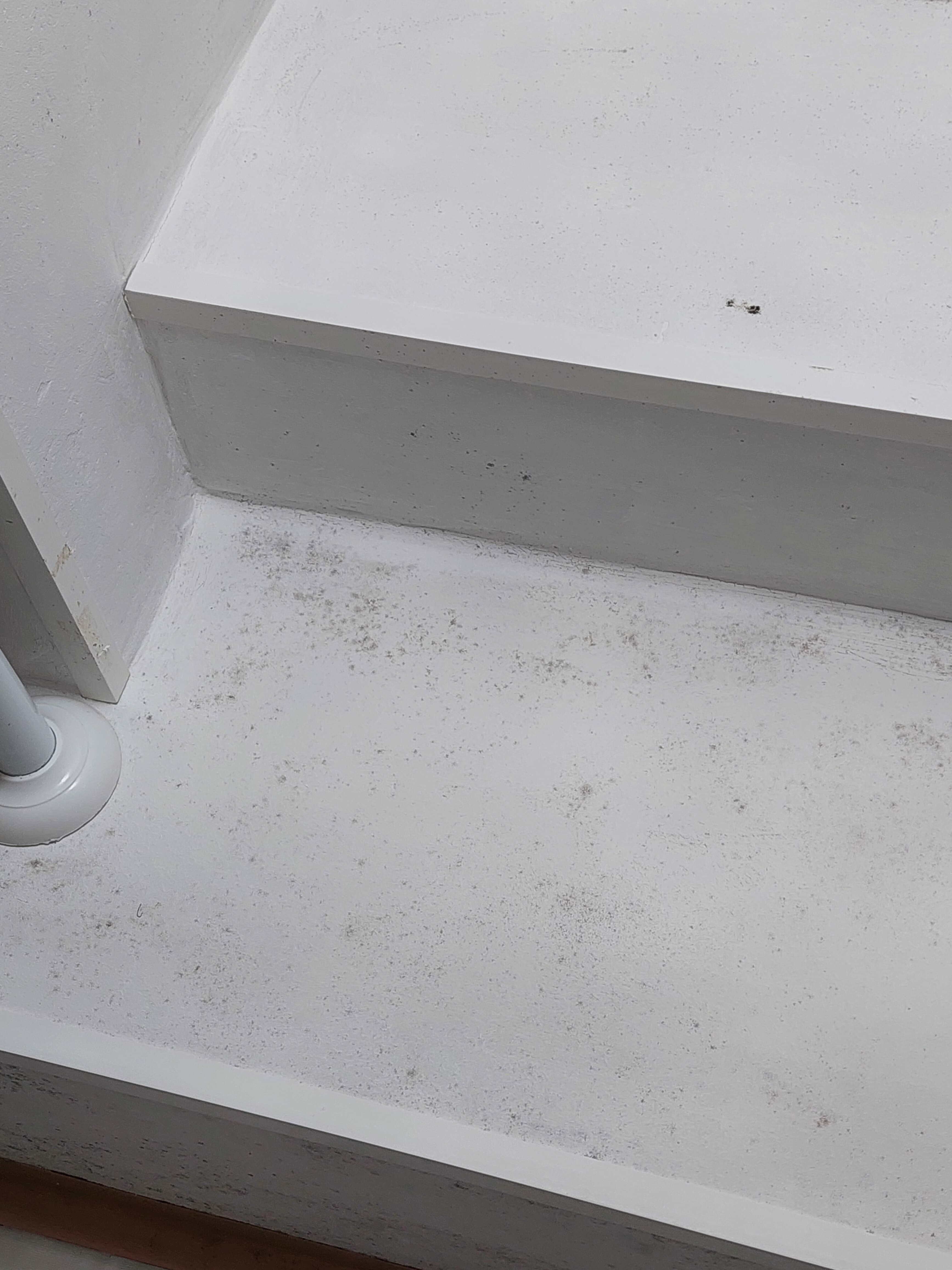 Фото Островок