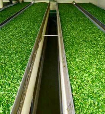 Food manufacturers Kemaloglu Cay, Eynesil, photo