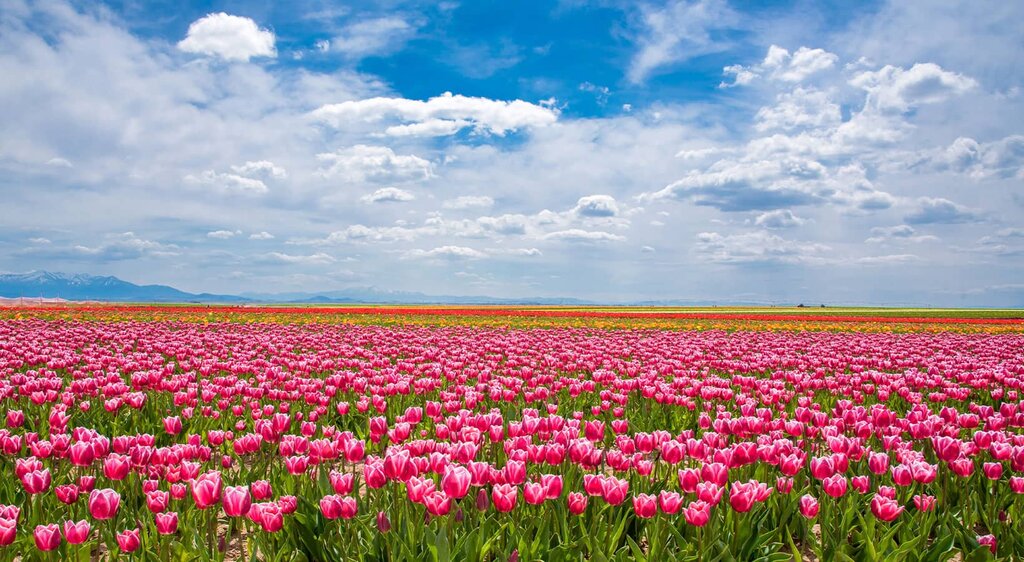 Landmark, attraction Cavus Sekiyurt Rock Tombs, Seydisehir, photo