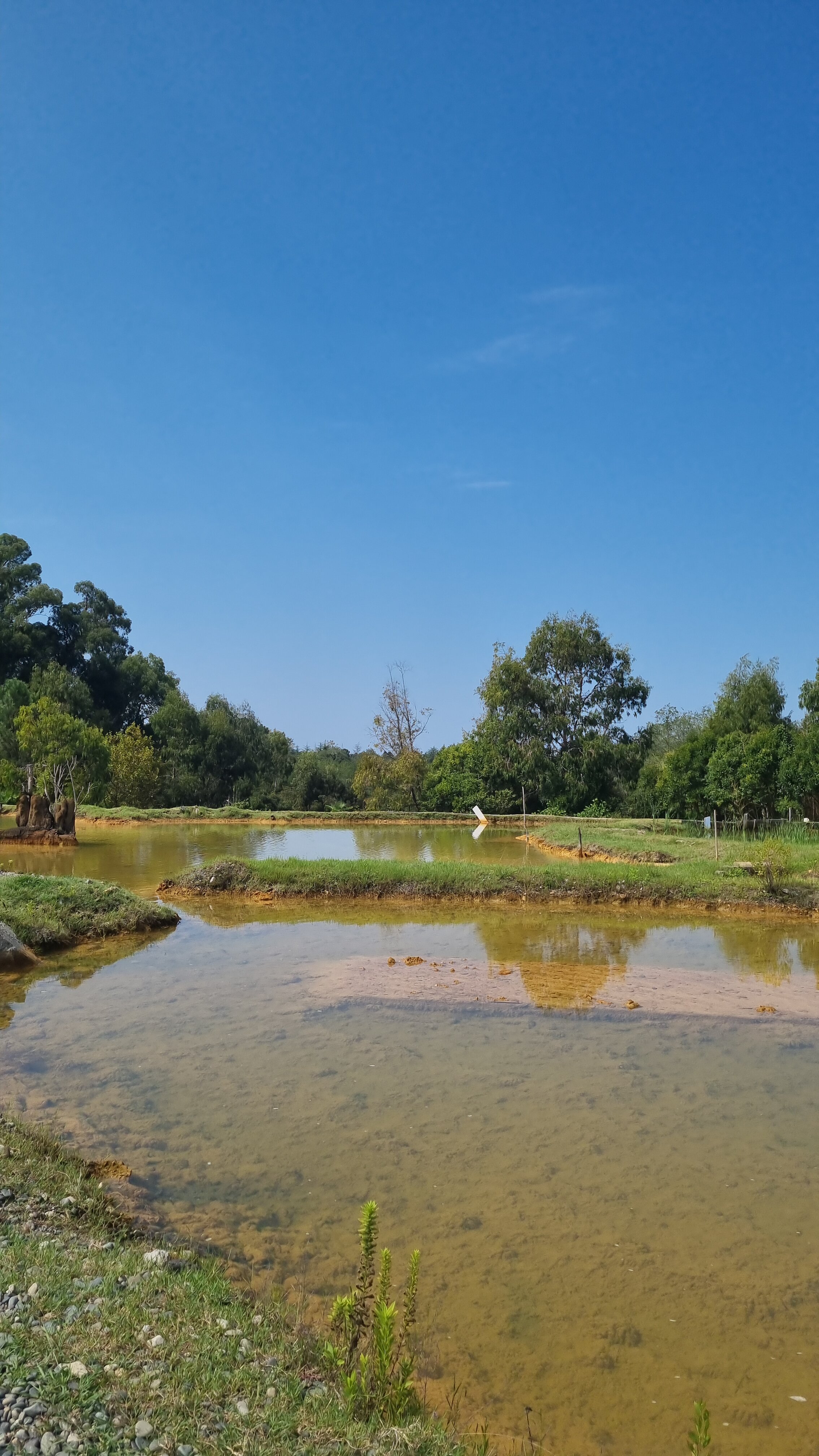 Фото Чапагуа