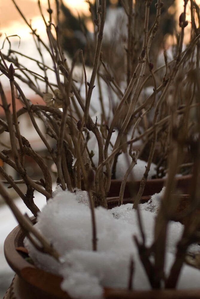 Фото Asteri Metsovo