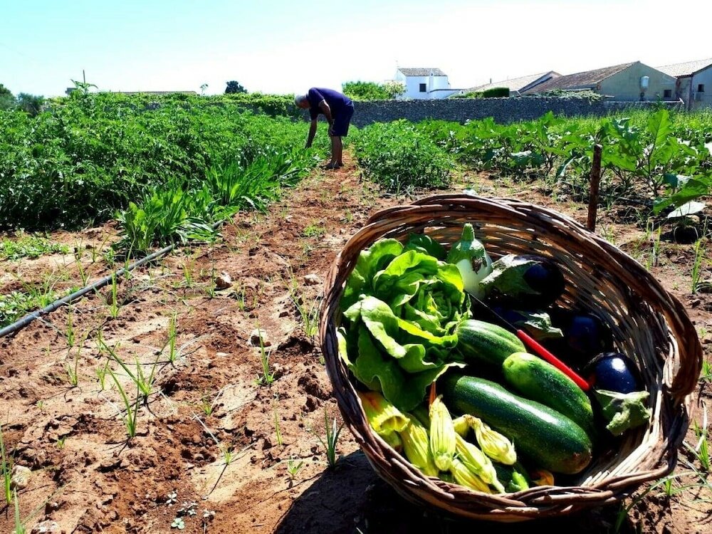 Фото Masseria Costarella