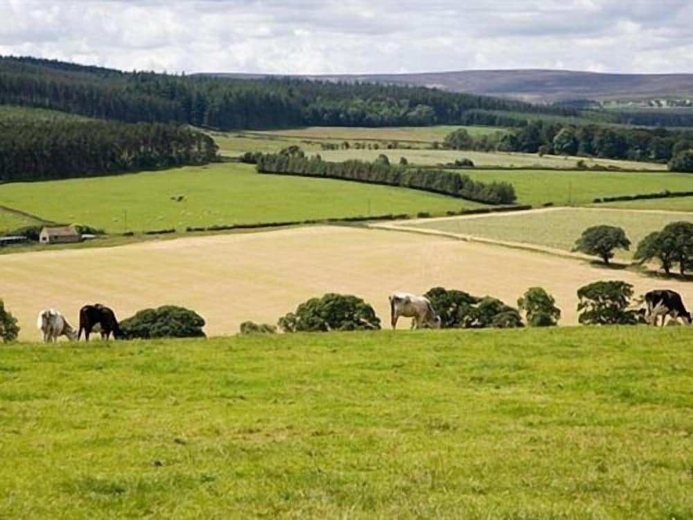 Фото Rye Hill Farm