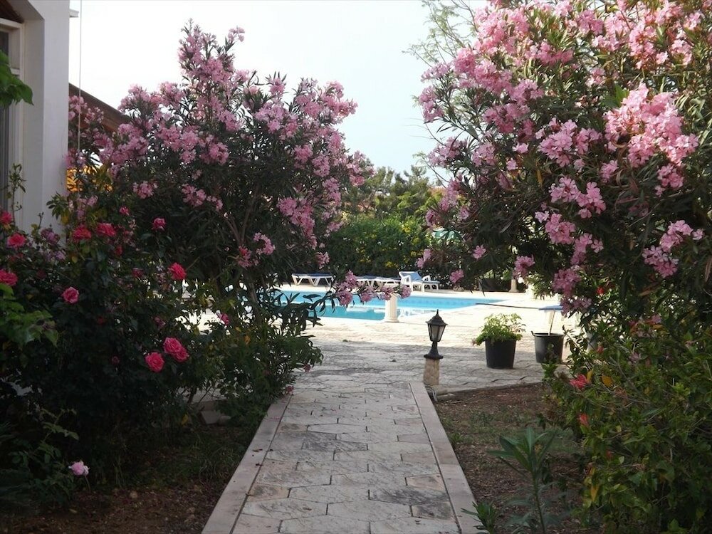 Фото Paradise Holiday bungalows