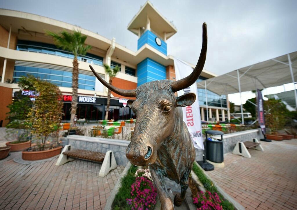 Restaurant Kraliyet Steak House, Dosemealti, photo