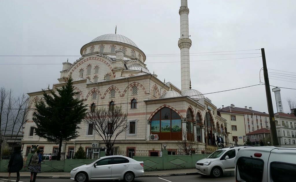 مسجد Gazi Osman Pasha Neighborhood Mosque ، ، صورة