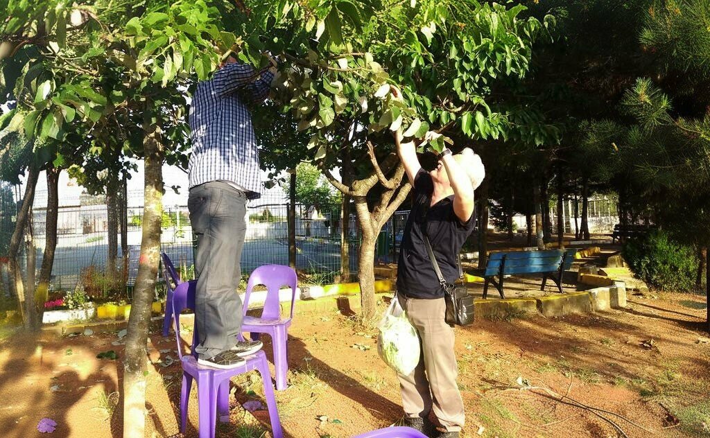 Primary school Gazi Mustafa Pasha Primary School, Istanbul, photo