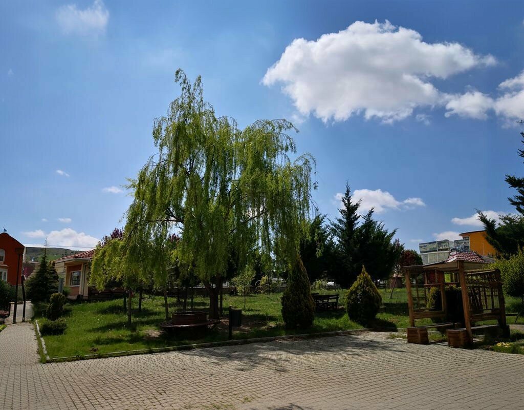 Lyceum Mustafa Hakan Guvencer Anadolu Lisesi, Ankara, photo