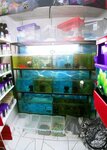 Golf Petshop (Aydın, Efeler, Kurtuluş Mah., 2023. Sok., 54), centro comercial
