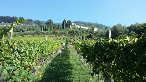 Гостиница Fattoria Gambaro di Petrognano