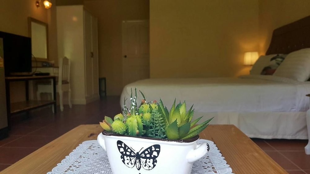 Фото Palazzo Pavone Gallery & Resort