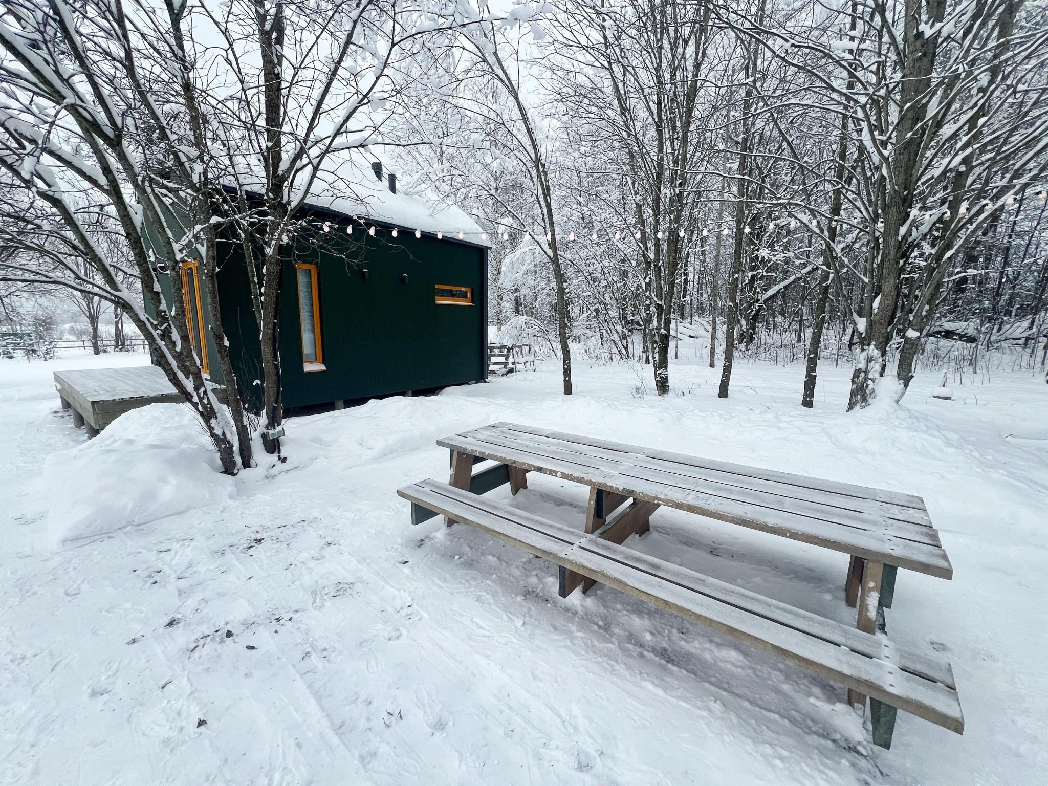 Фото Домики в поле