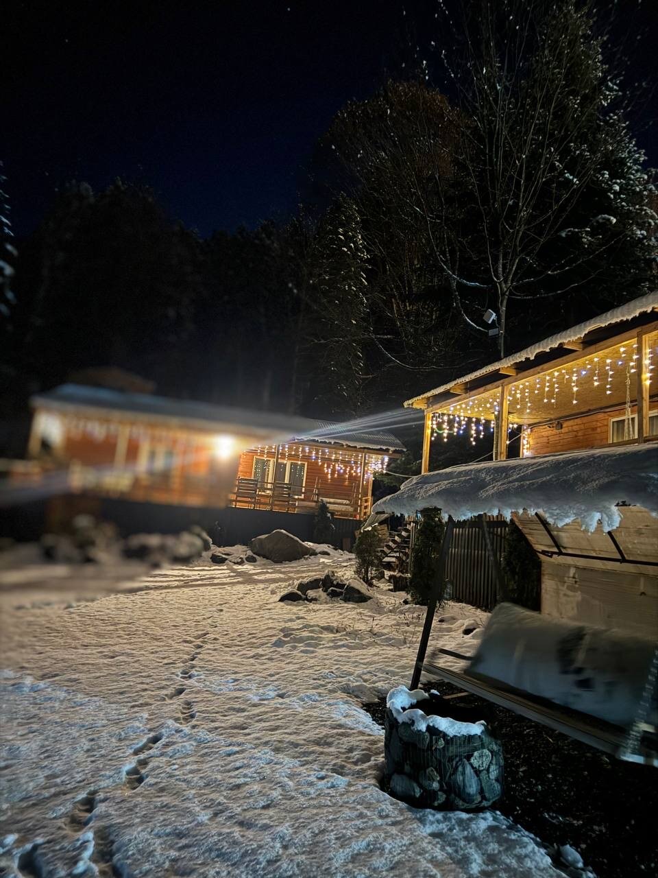 Фото Аргали