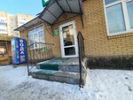 Chistyj kotik (ulitsa Gogolya, 133А), tienda de animales