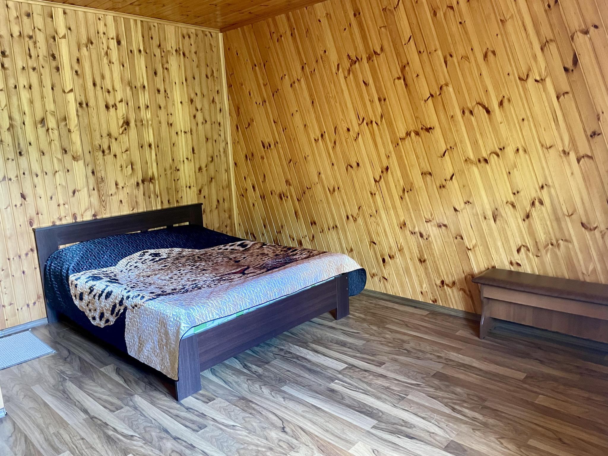 Фото Зеленый берег