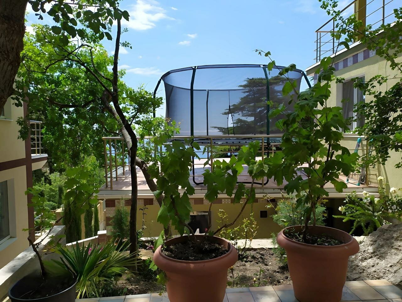 Фото Magic Kingdom