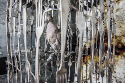 Фото Hotel Trash Deluxe