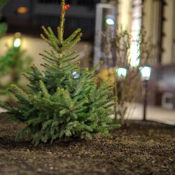 Фото Hotel City Samarkand