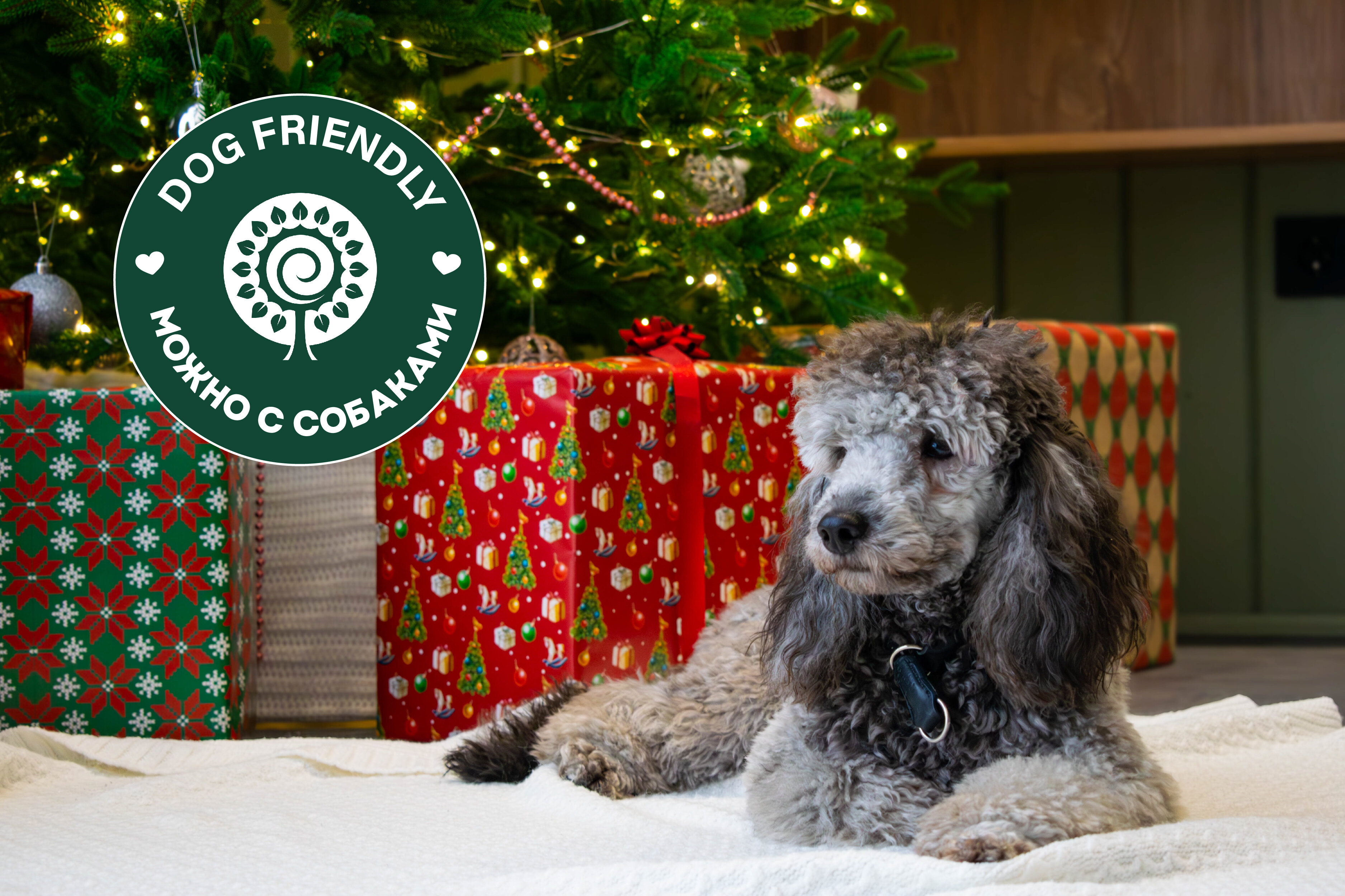 Фото Люди в уюте