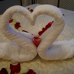 Фото Виктория на улице Красных Фортов