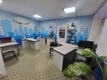 Стимул (ulitsa Kirova, 17А), appraisal company