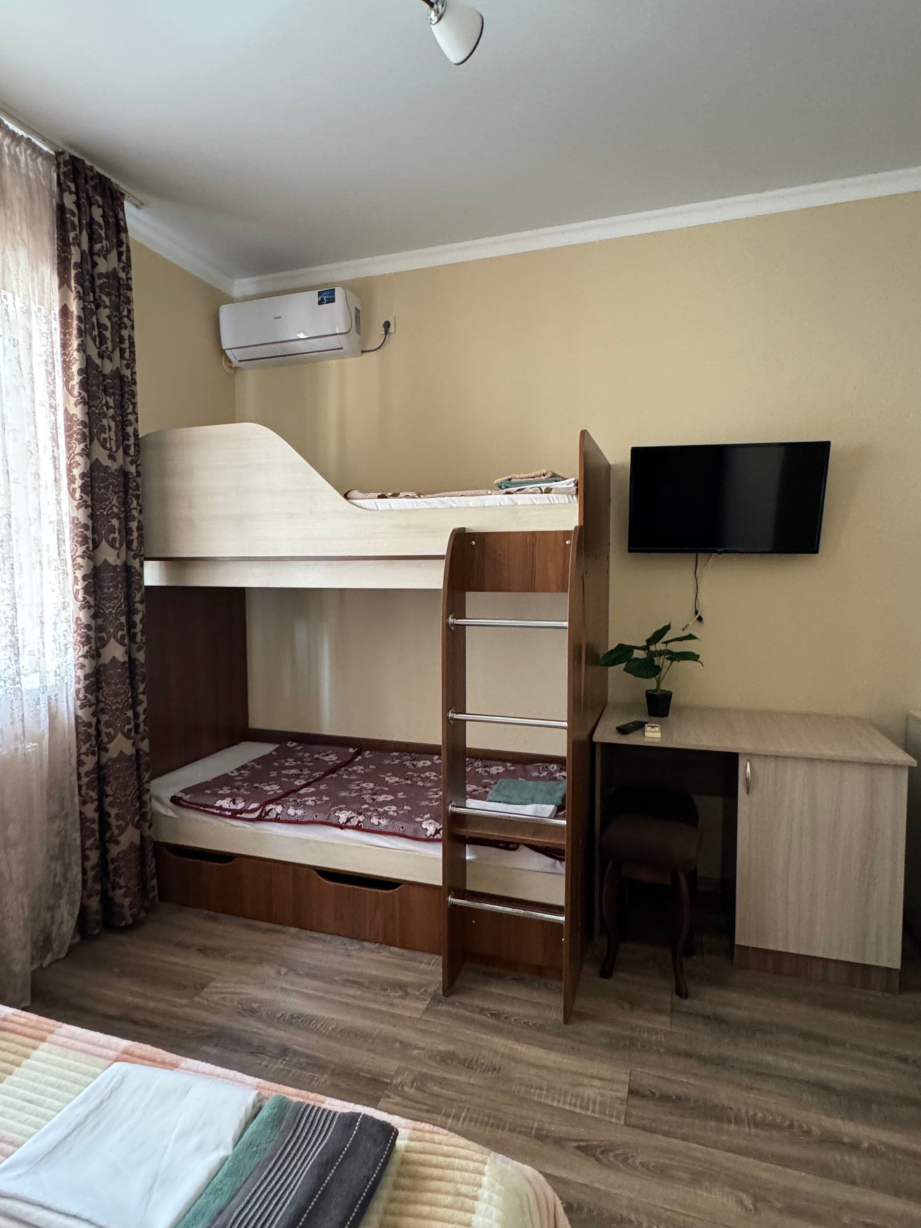 Фото Золотой абрикос