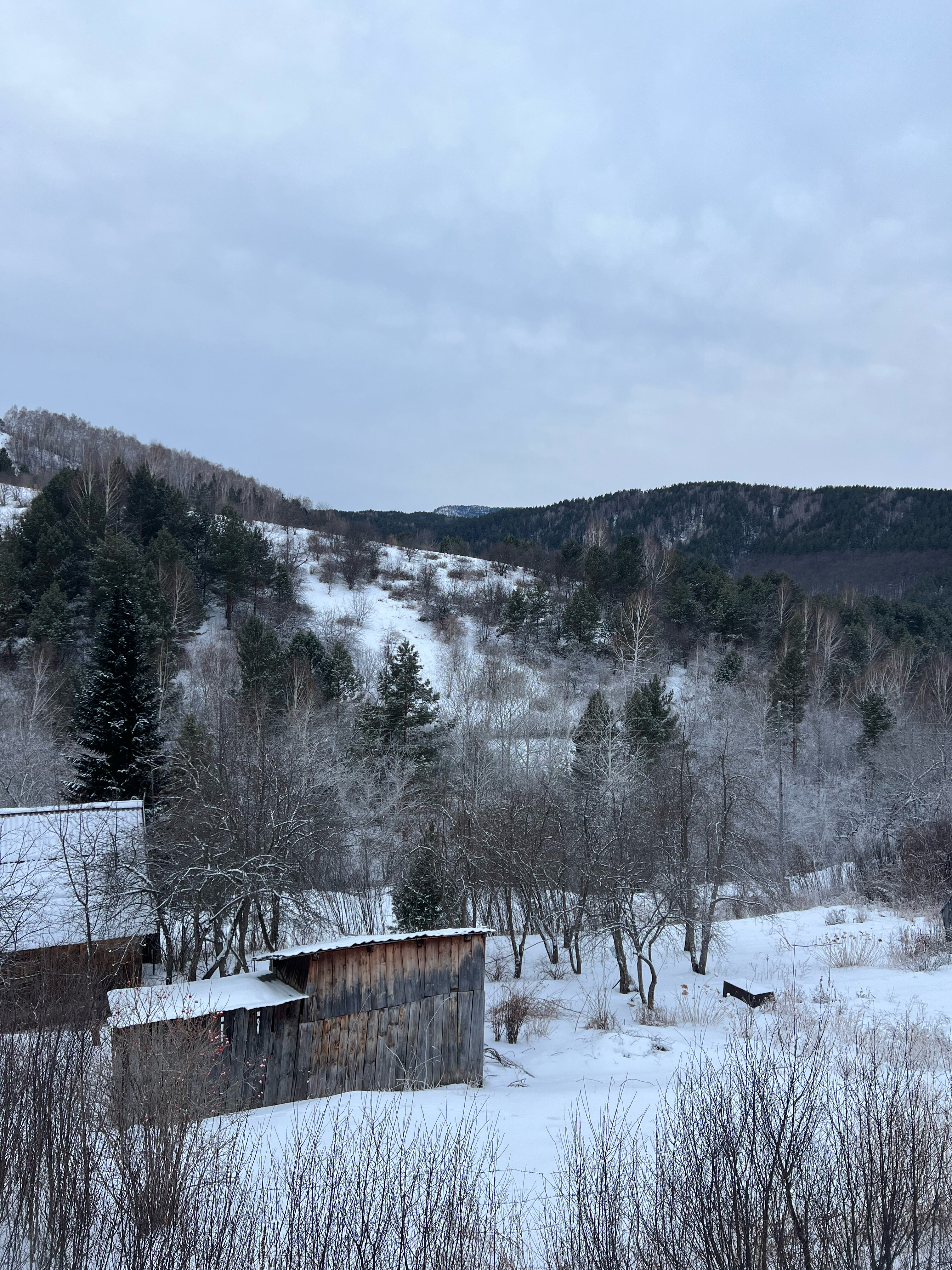 Фото 11 Гор Алтая