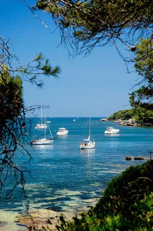 Фото Resideal Premium Cannes