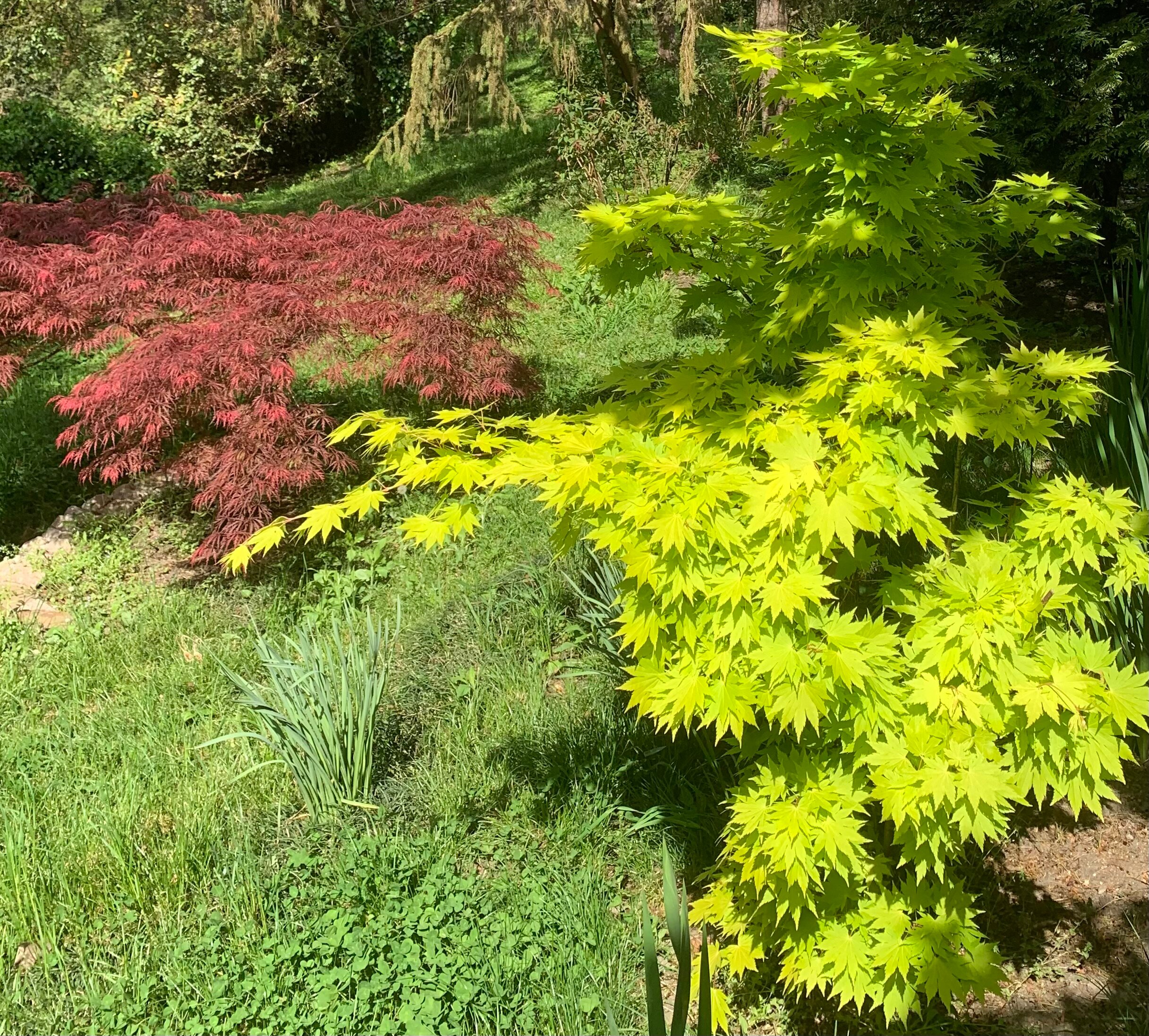 Фото Белая Русь