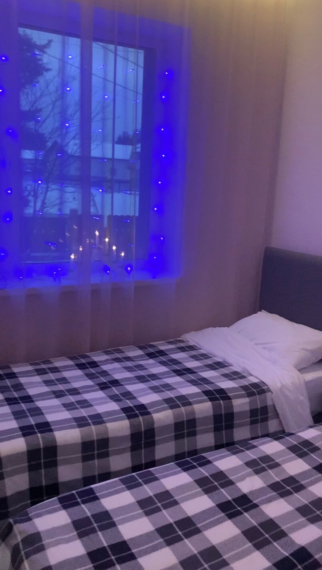 Фото Хвойная Гармония