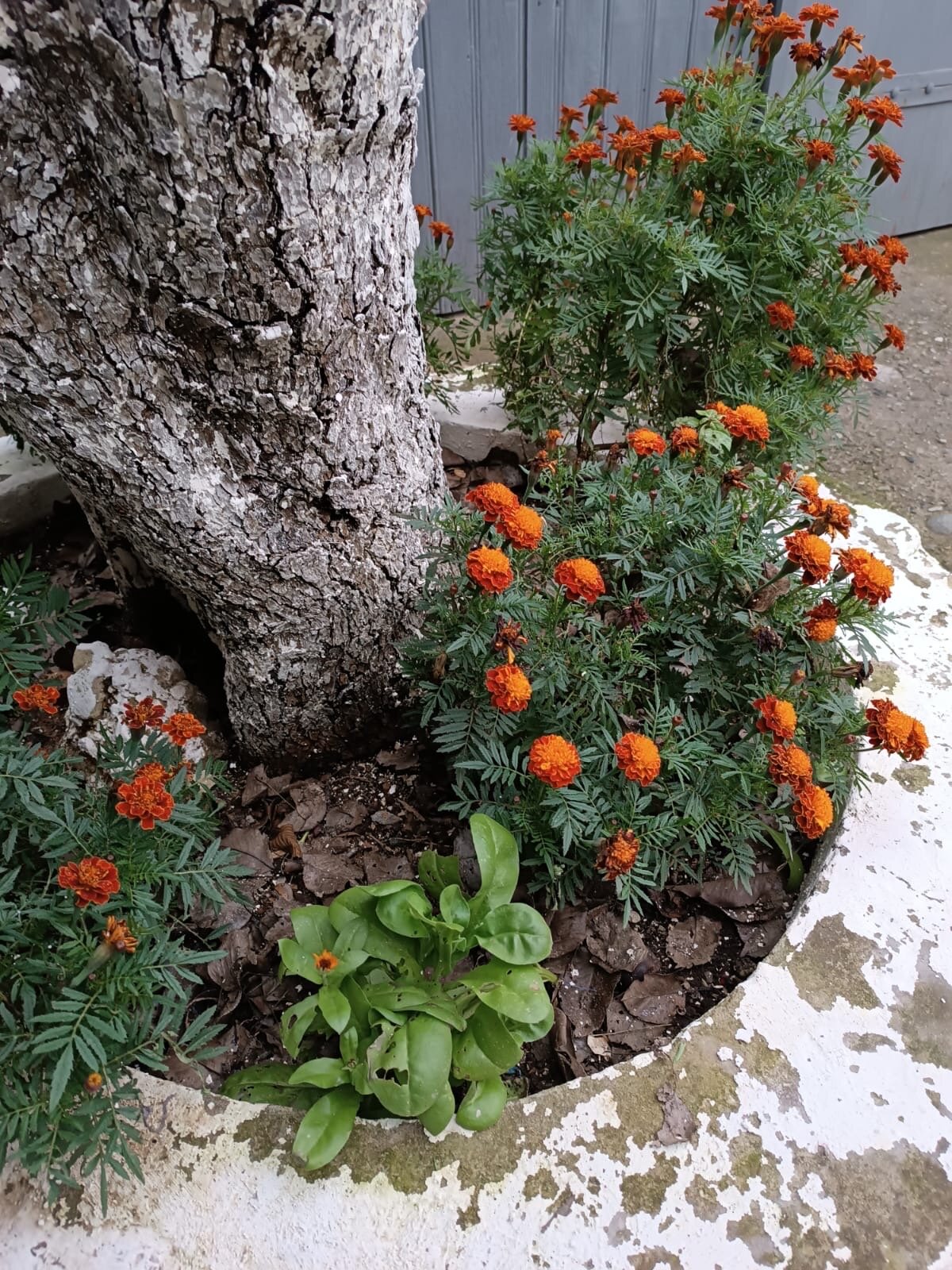 Фото Домик в деревне