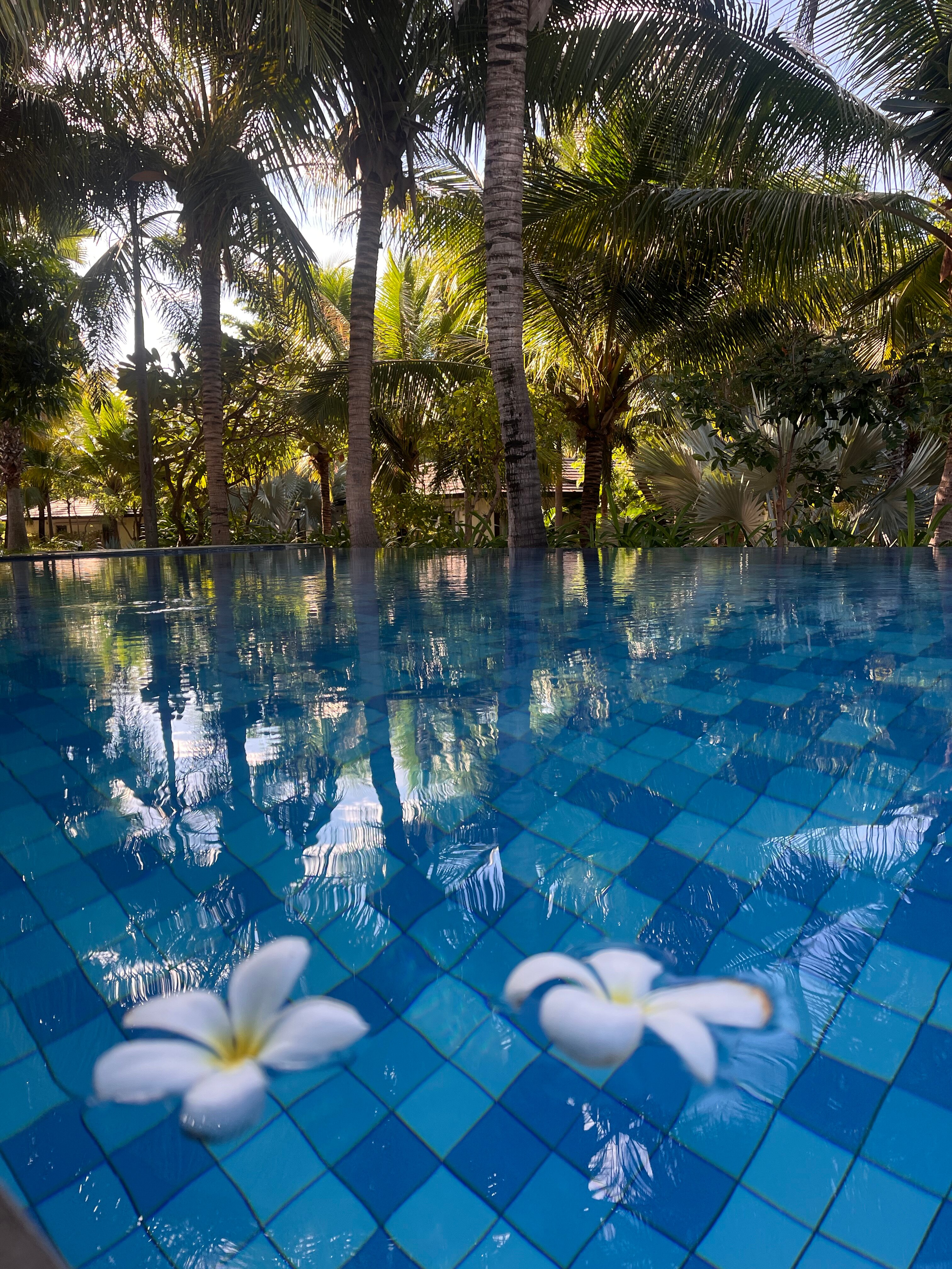Фото Duyen Ha Resort Cam Ranh