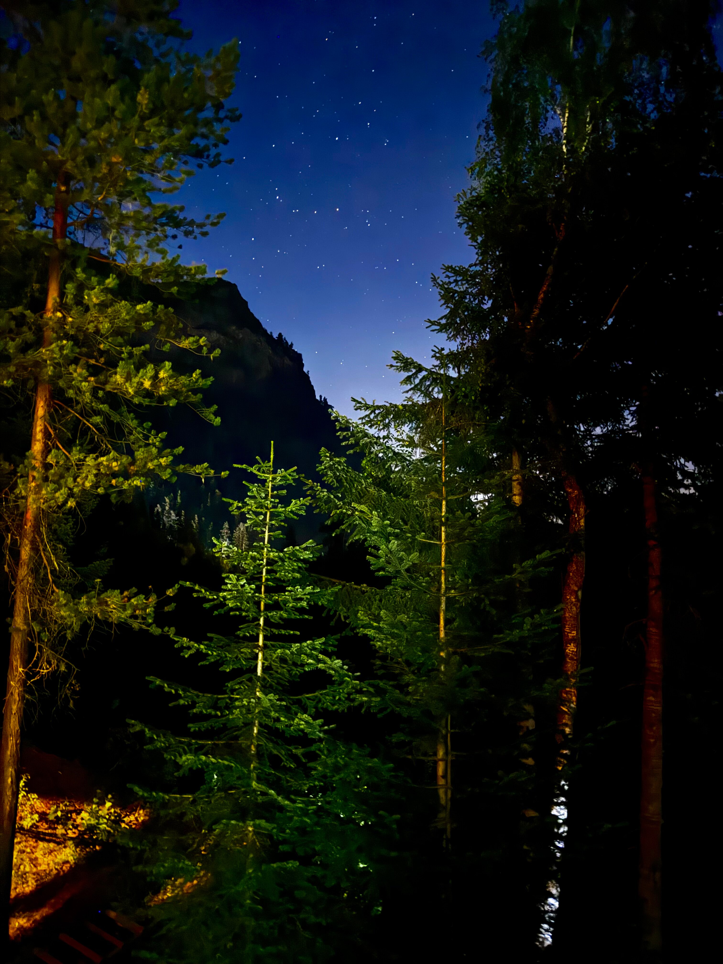 Фото Gorskiy Club