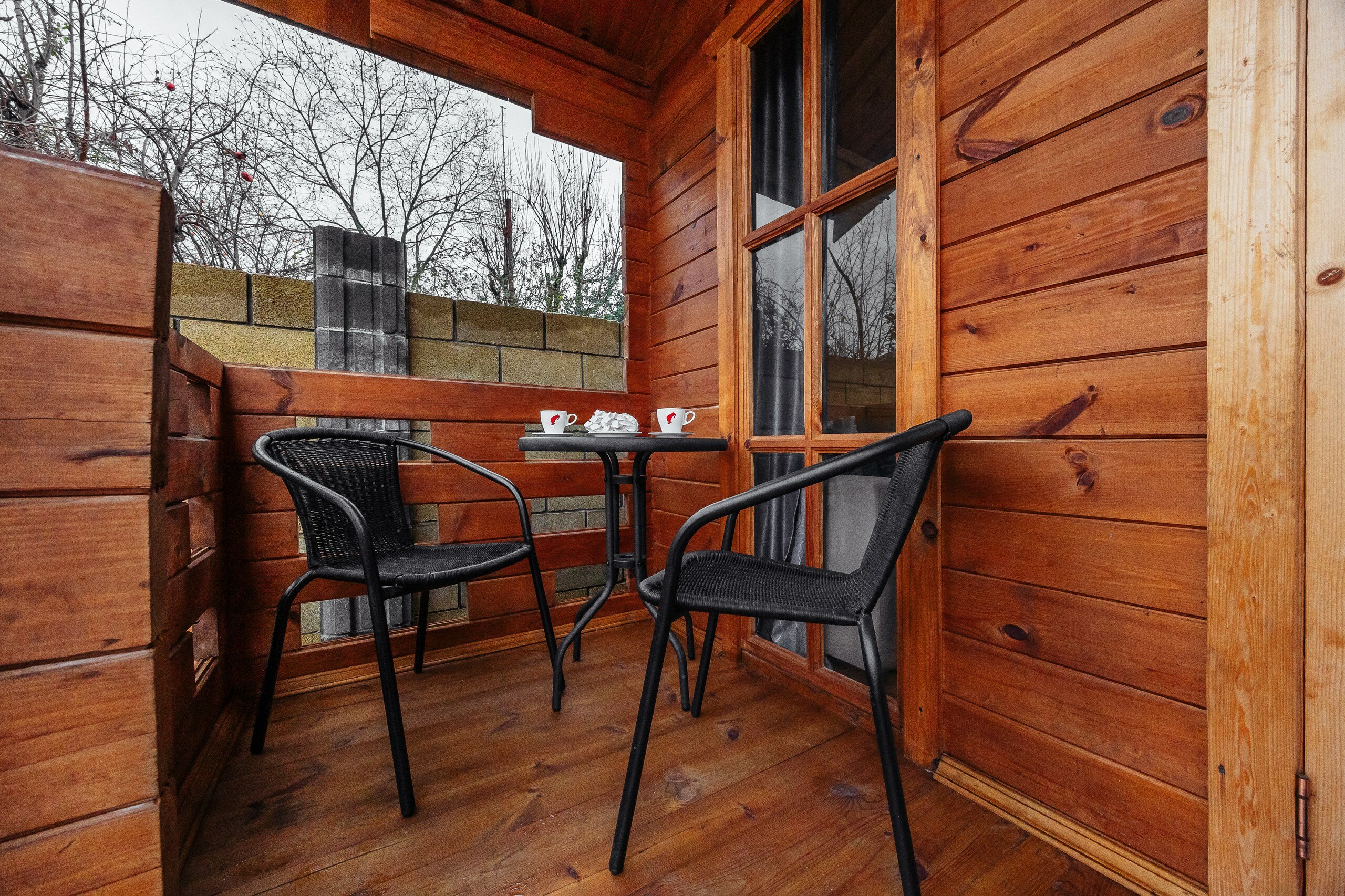 Фото Камелия