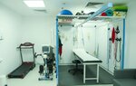 مركز كدز نيورو لاعصاب الاطفال (71, Dubai Healthcare City Street, Umm Hurair 2, Umm Hurair, Bur Dubai, Dubai) ، مركز طبي، عيادة