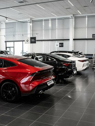 Орыс кискаларының суреттерін көрсетіңіз